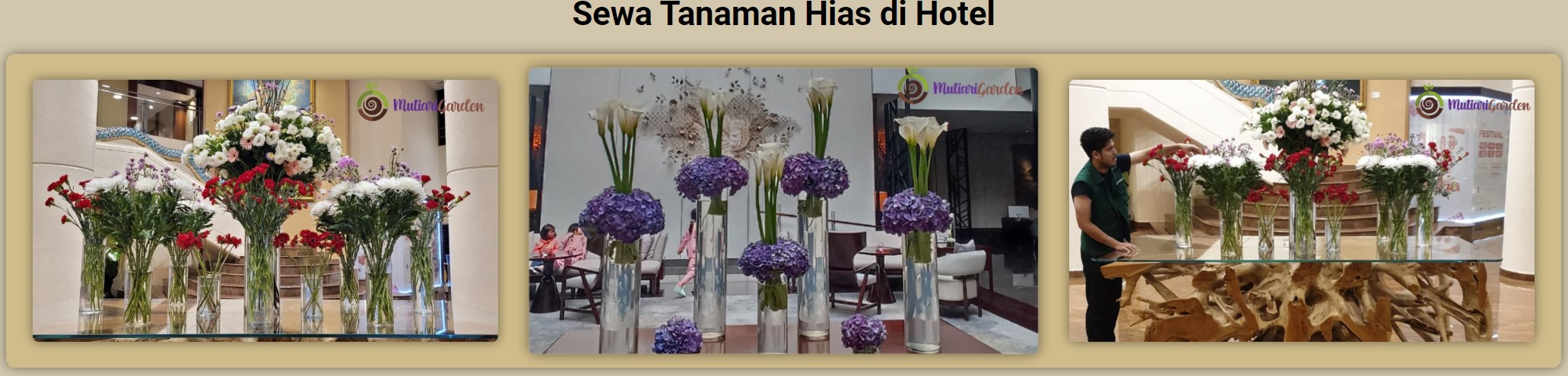 sewa tanaman hias di hotel