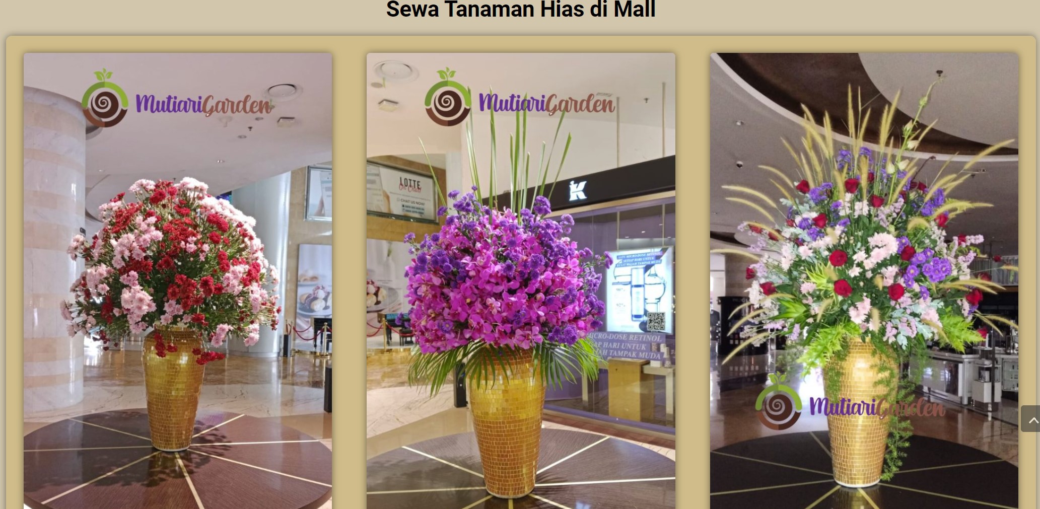 sewa tanaman hias di mall