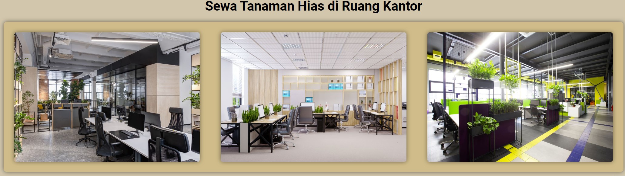 Penyewaan Tanaman Untuk Kantor