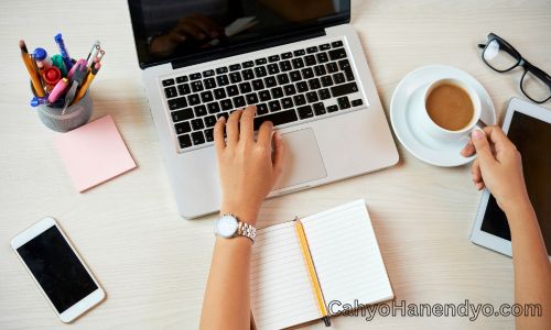 Apa Itu Bisnis Online dan Bagaimana Cara Kerjanya?